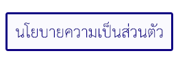 นโยบายความเป็นส่วนตัว